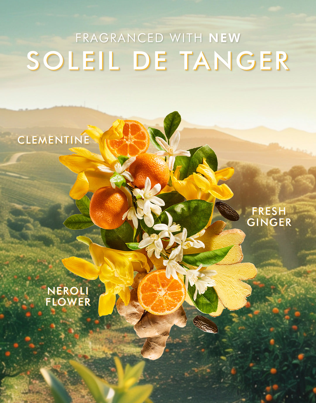 Jabón de manos Soleil de Tanger