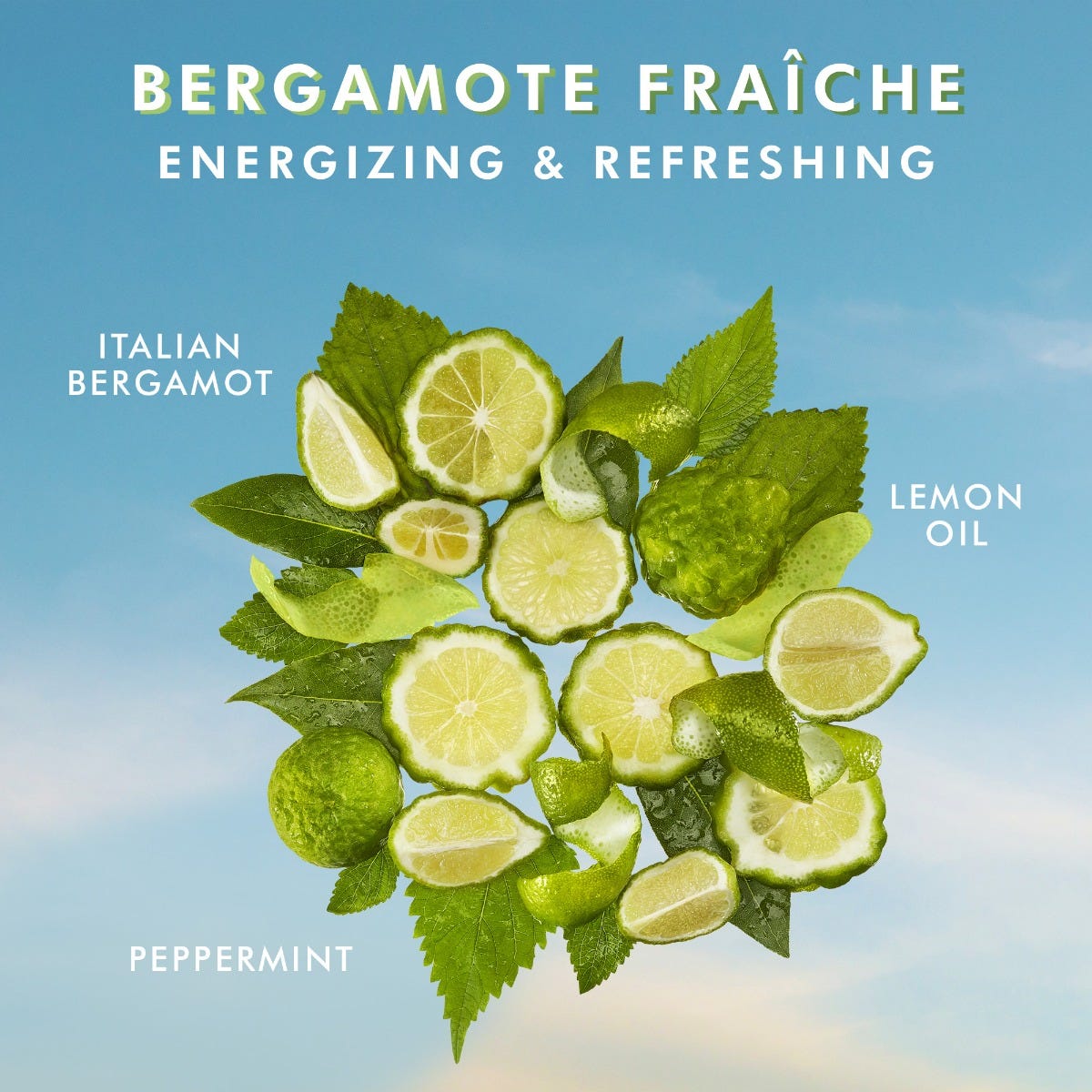 Loción corporal Bergamote Fraiche
