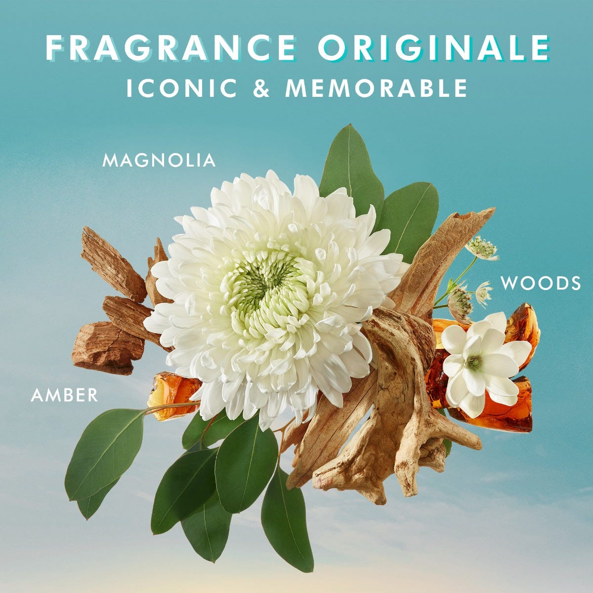 Lavado de manos Fragrance Originale